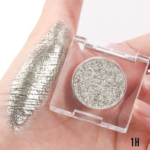 Eyeshadow Silver